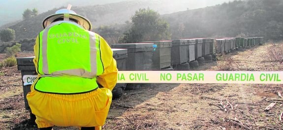 Un agente custodia unas colmenas robadas, en una imagen de archivo.