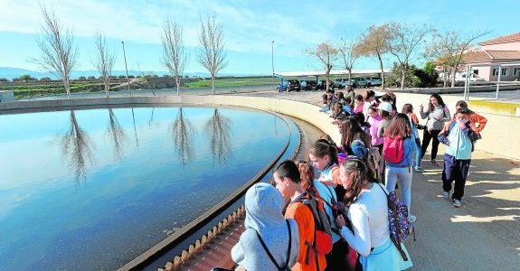 Día del Agua en la depuradora de La Hoya