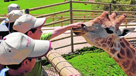 Terra Natura presenta un verano de aventura con animales | La Verdad