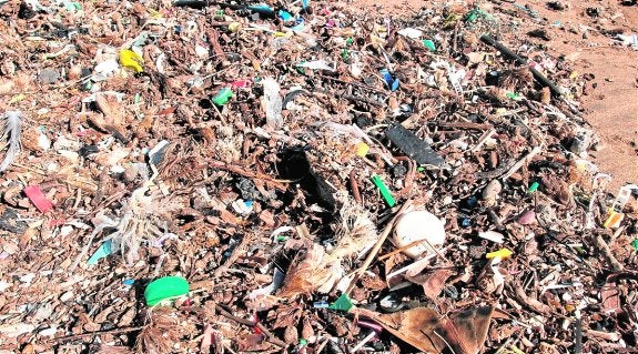 Los invernaderos plastifican el Mediterráneo