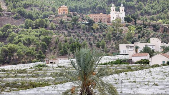 Zona donde se ubicarían las viviendas. 