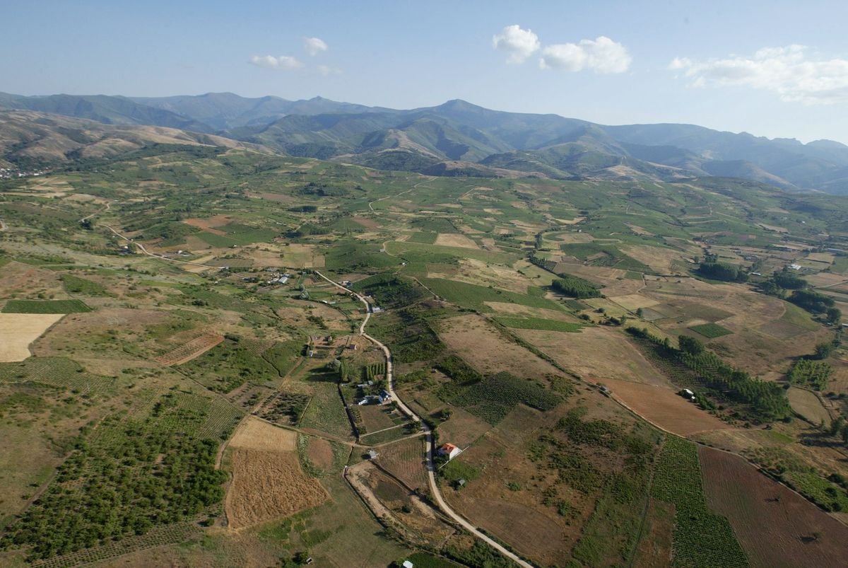 León a vista de pájaro