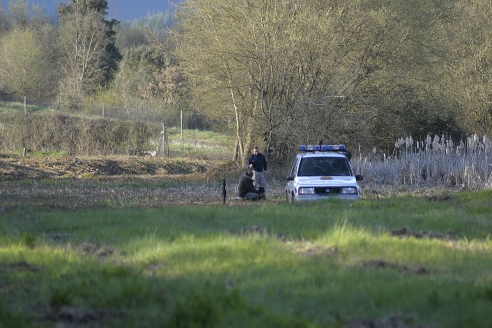 Hallan un cadáver en Cortiguera
