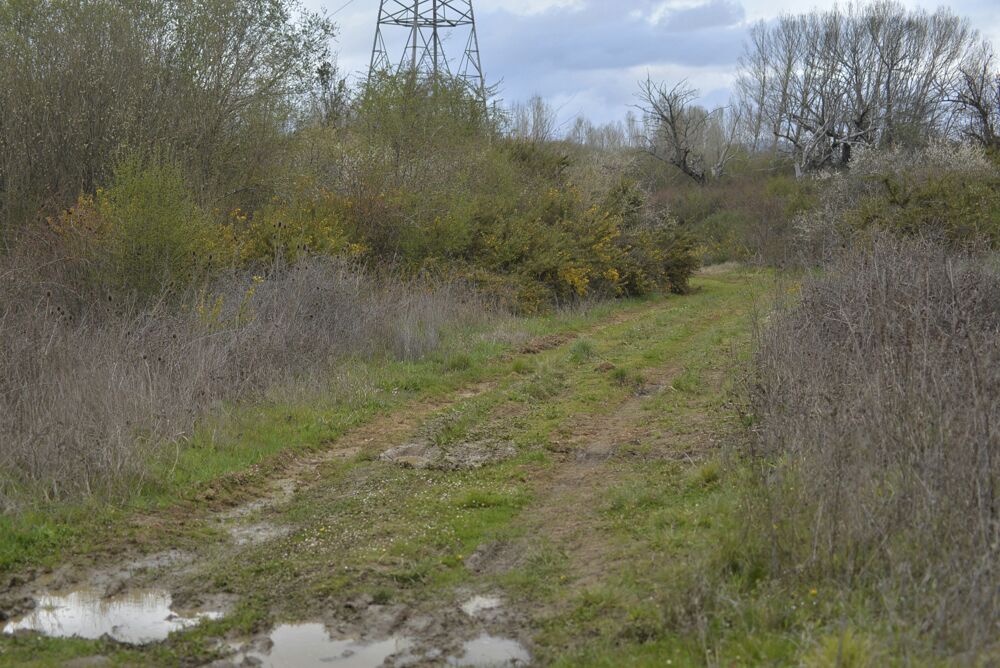 Hallan un cadáver en Cortiguera