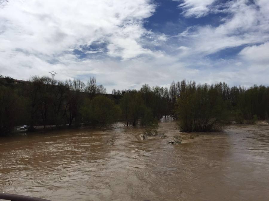 Así están los ríos leoneses