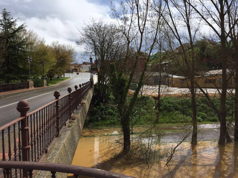 Así están los ríos leoneses