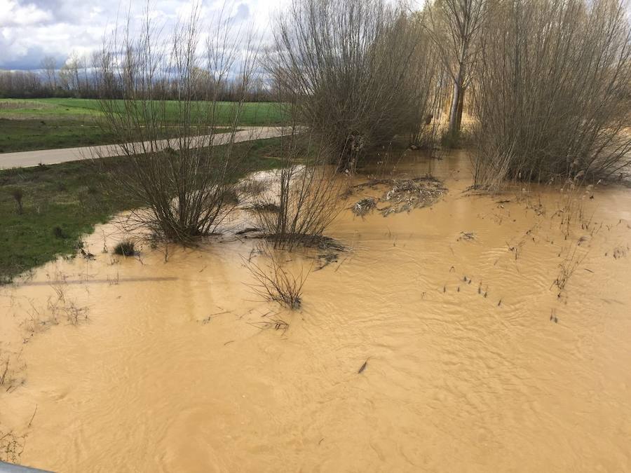 Así están los ríos leoneses