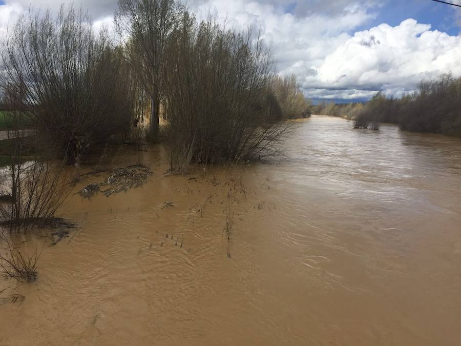 Así están los ríos leoneses