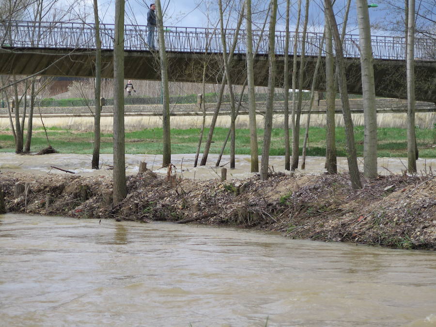 El Torío baja con abundante caudal