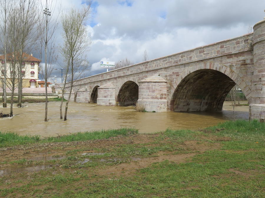 El Torío baja con abundante caudal