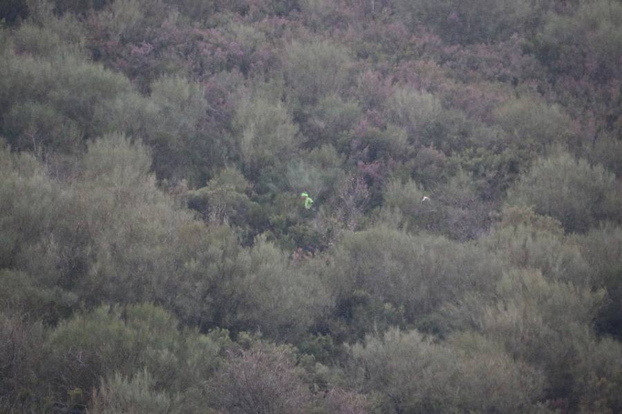 Biosfera trail 2016 (IV)