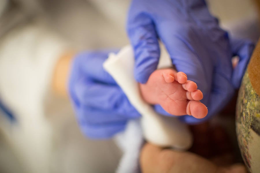 Bebés en la lucha de vivir