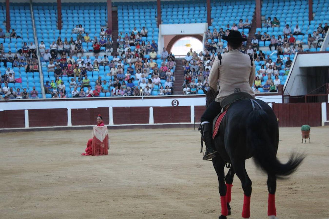 Los caballos y el flamenco