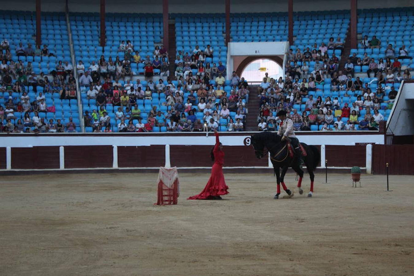 Los caballos y el flamenco