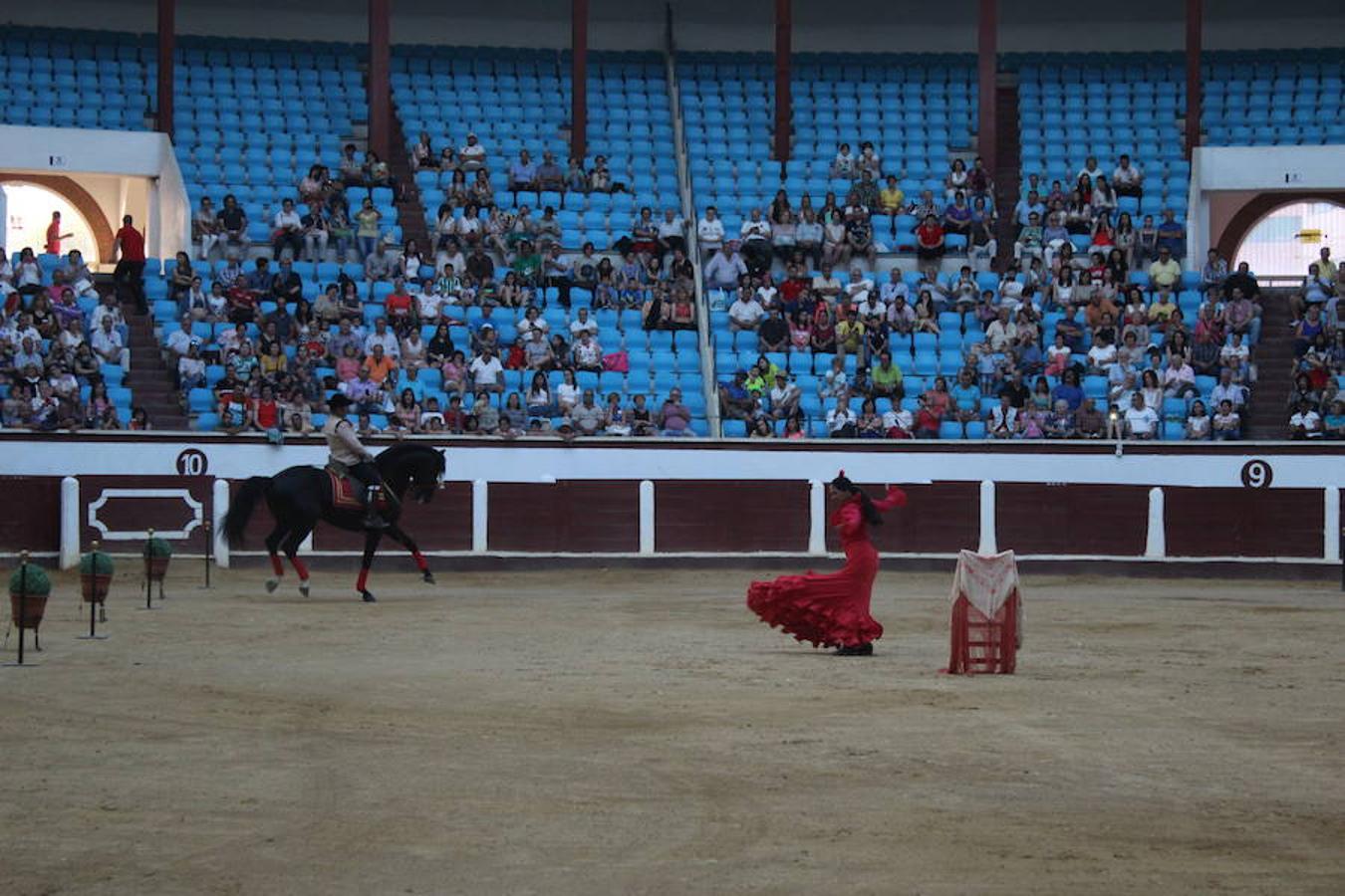 Los caballos y el flamenco