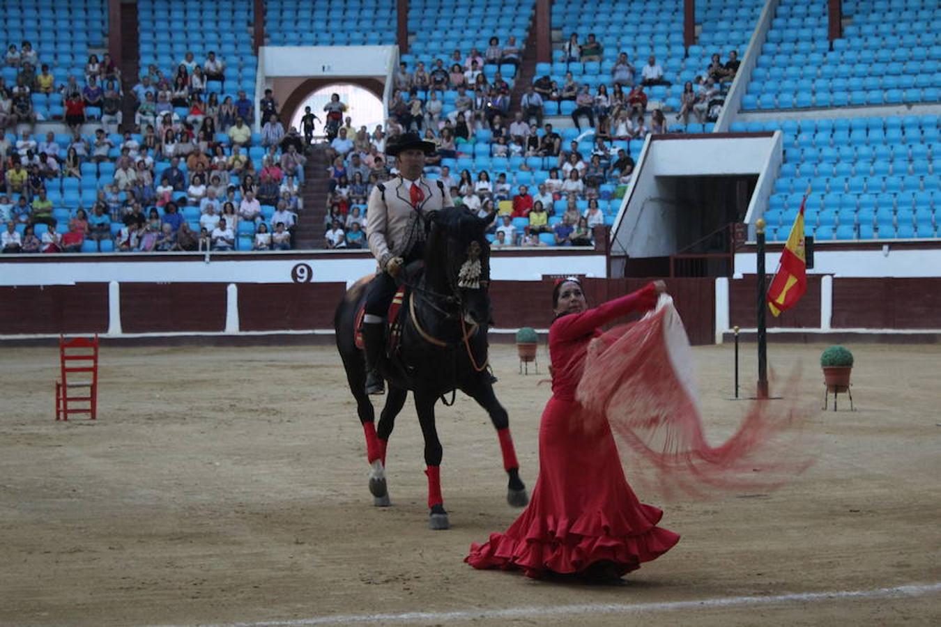 Los caballos y el flamenco