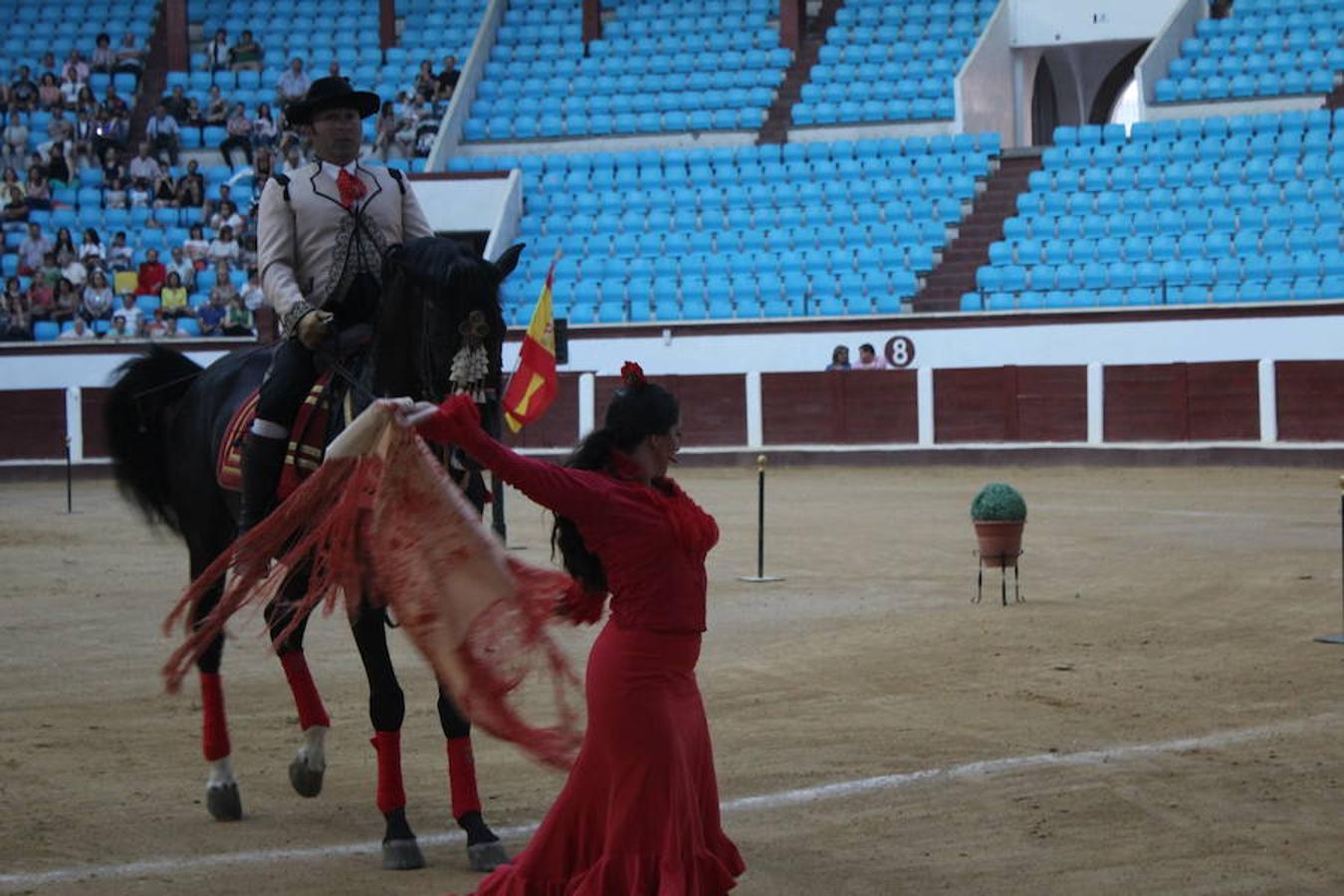 Los caballos y el flamenco