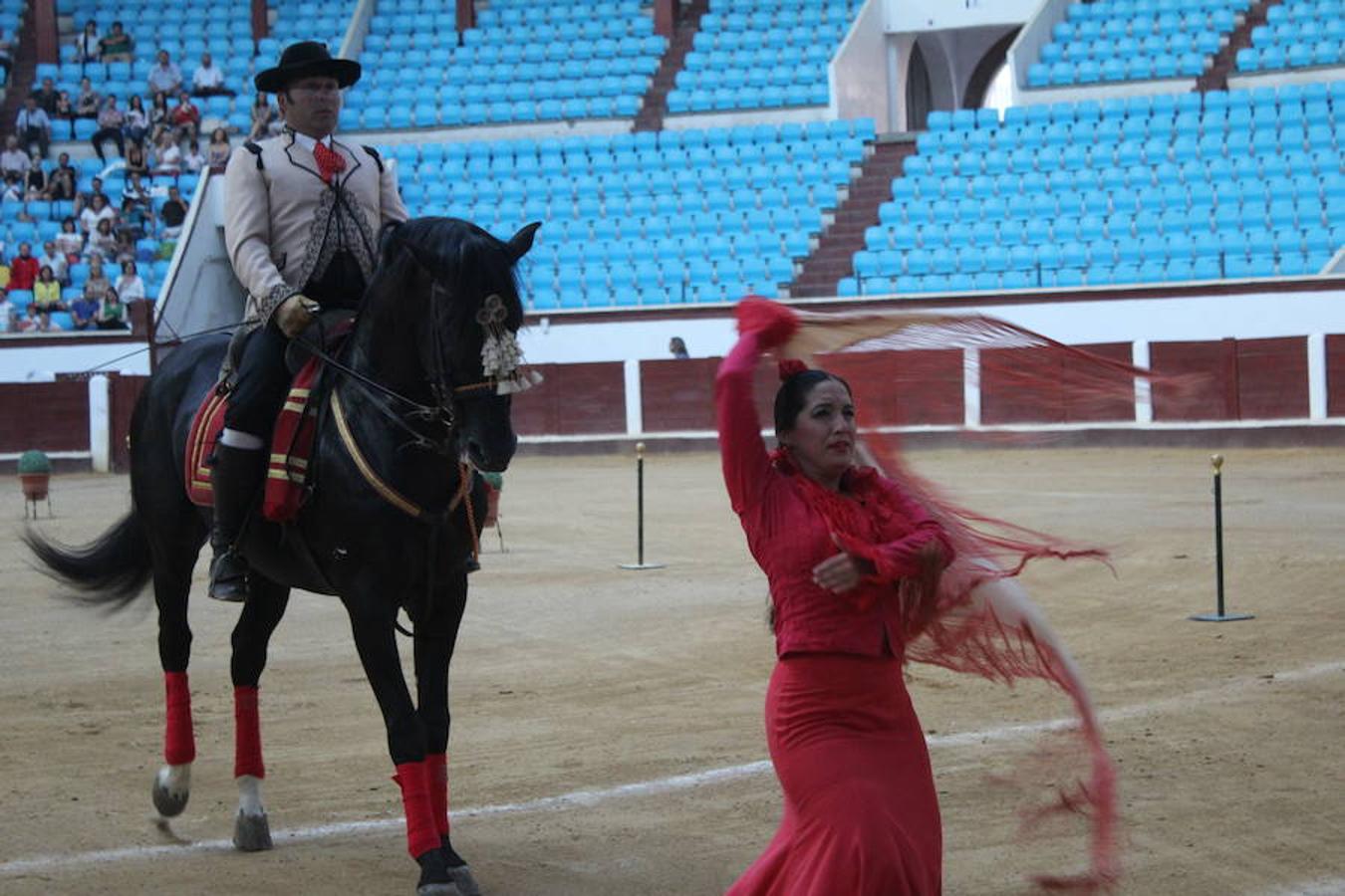 Los caballos y el flamenco