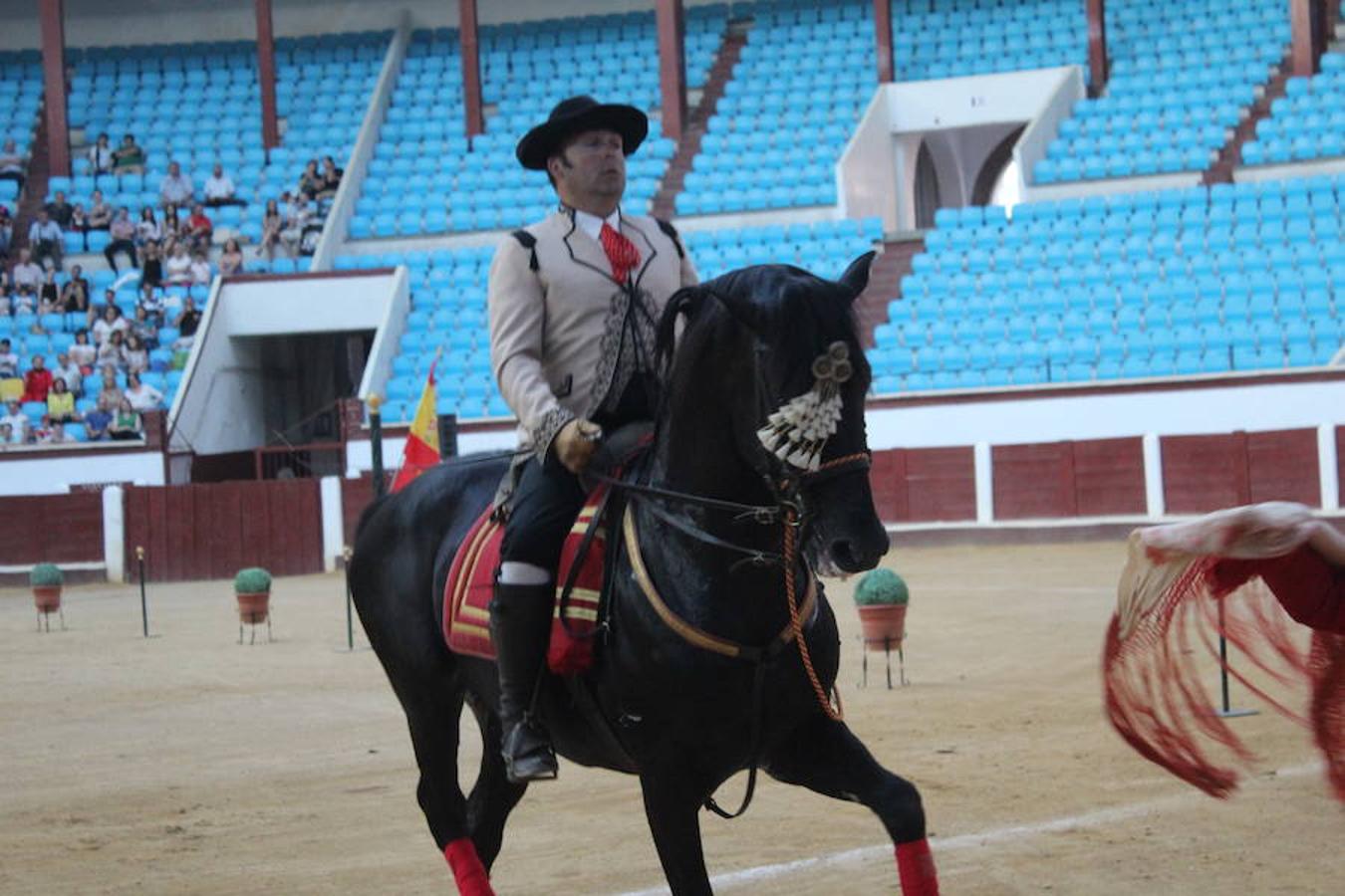 Los caballos y el flamenco