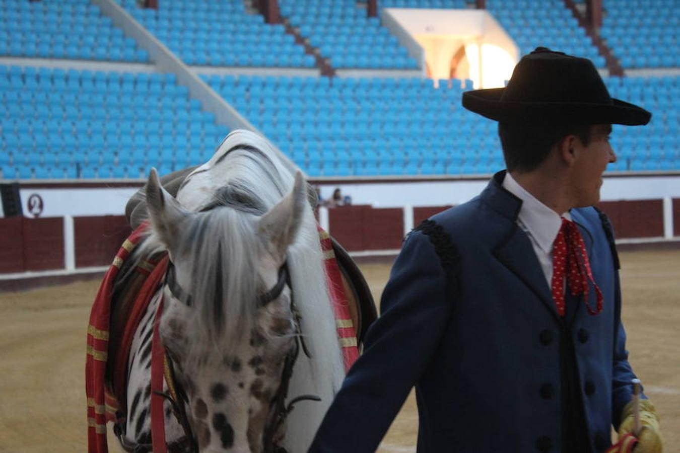 Los caballos y el flamenco
