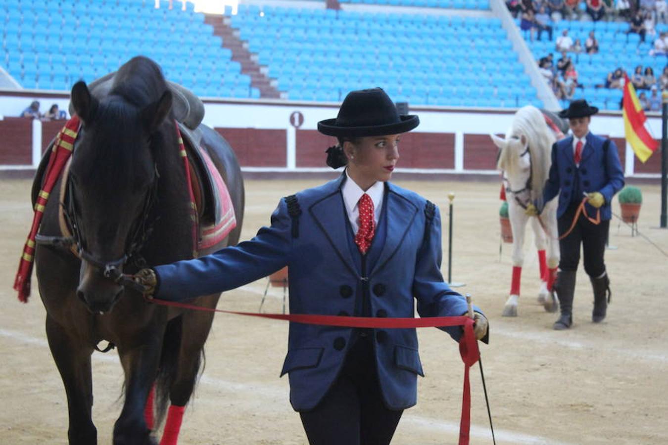 Los caballos y el flamenco