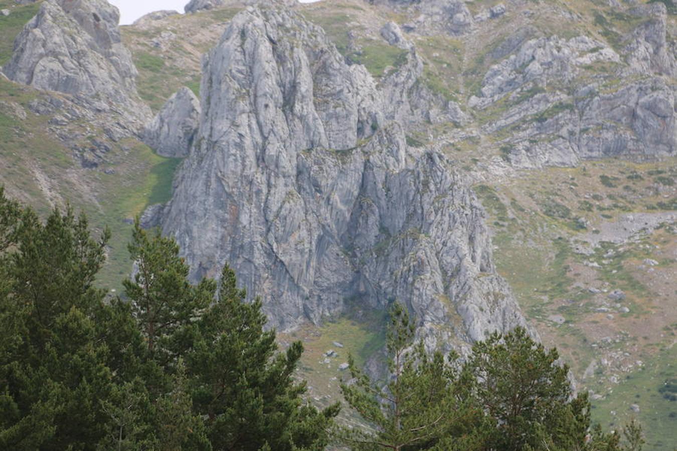 El poder de la naturaleza