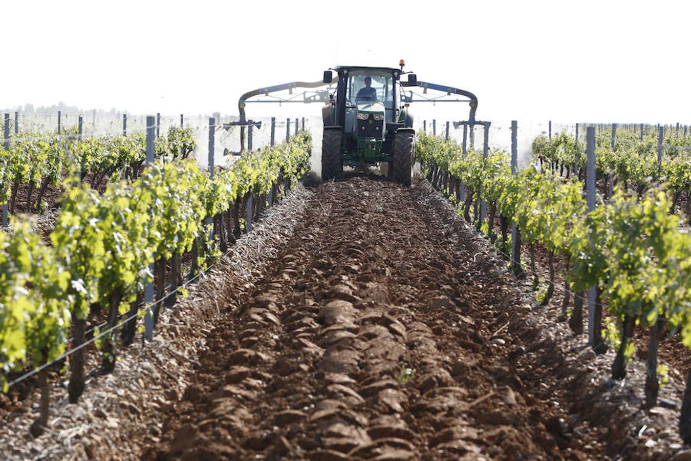 Una bodega que se expande