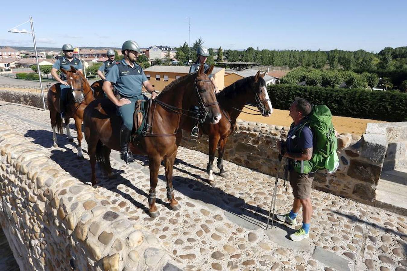 Un seguro para el Camino