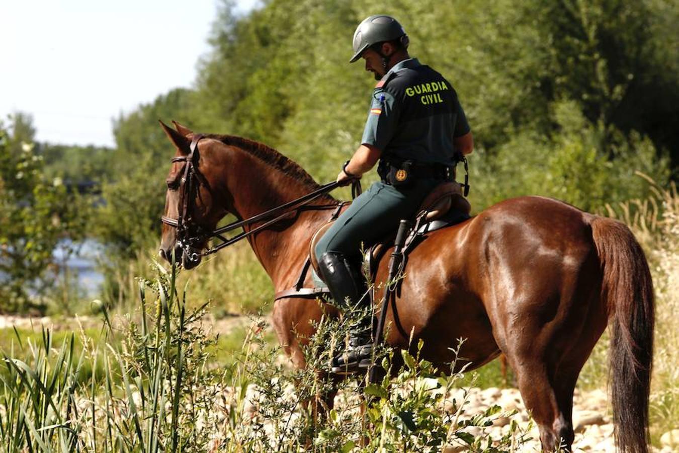 Un seguro para el Camino