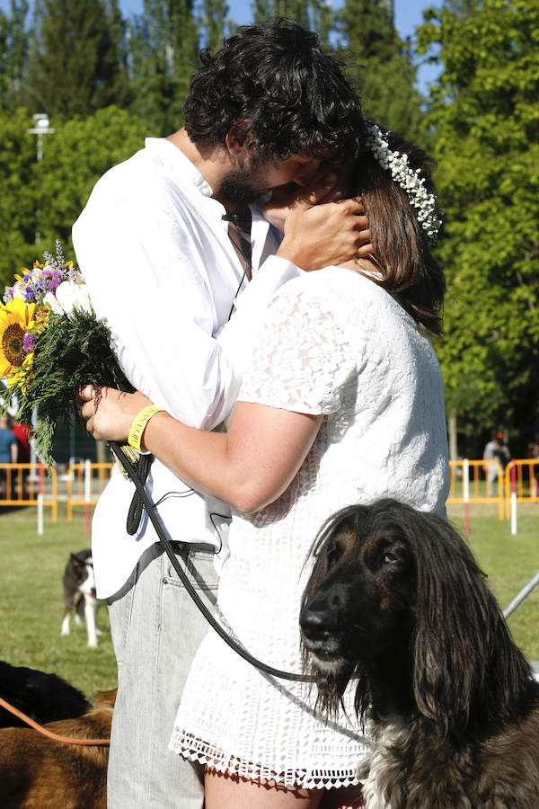 Boda sorpresa