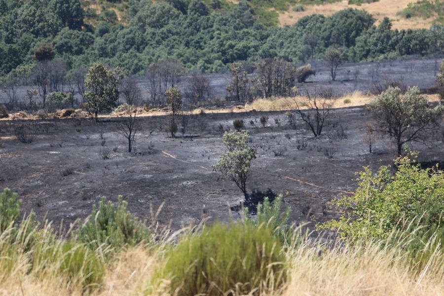 Vestigios tras el incendio