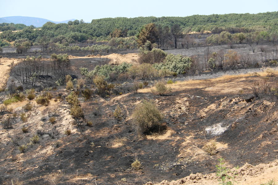 Vestigios tras el incendio