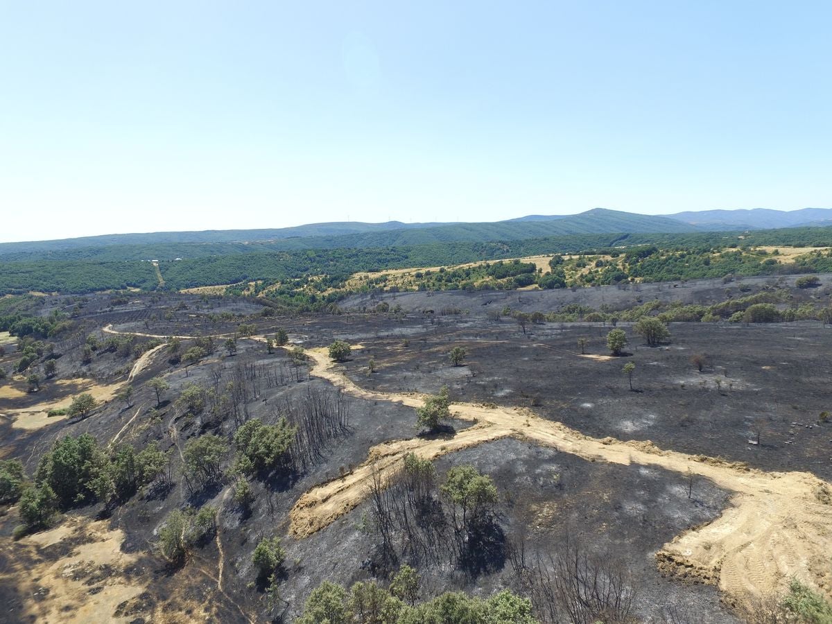 Vestigios tras el incendio