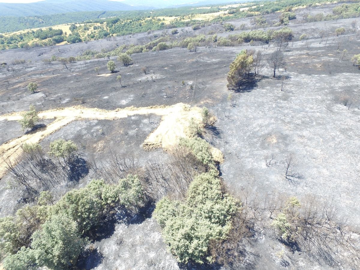 Vestigios tras el incendio