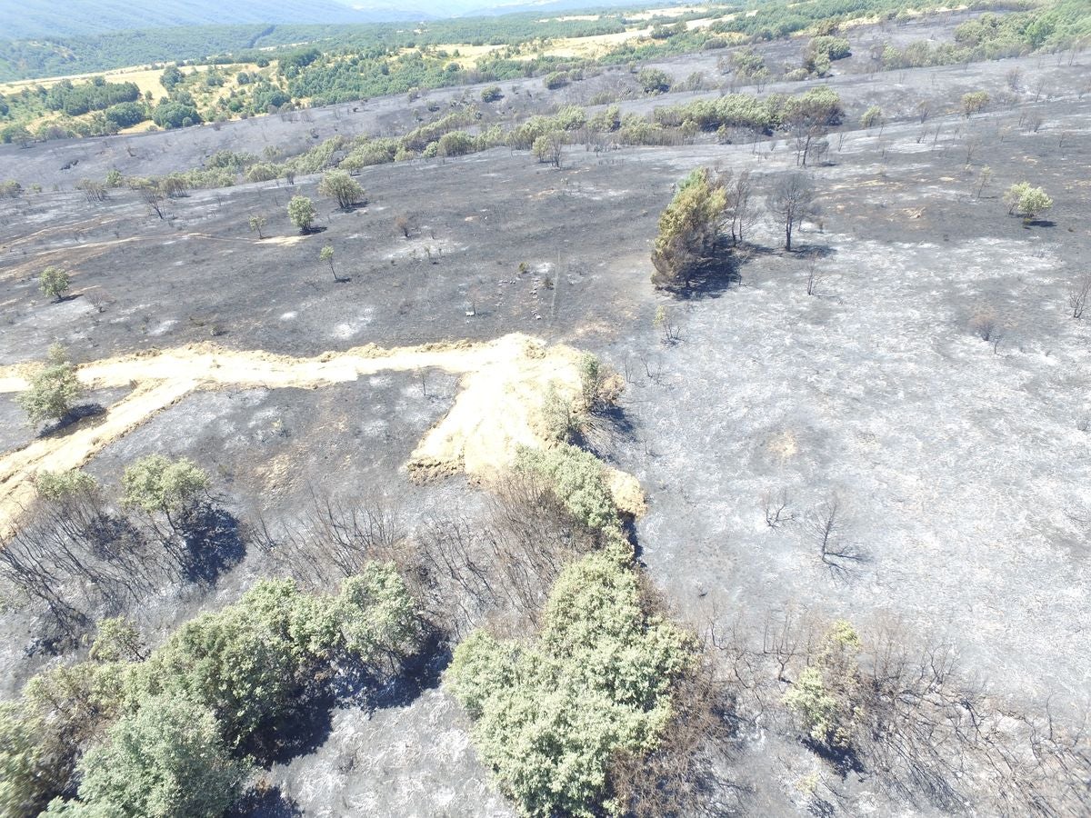 Vestigios tras el incendio