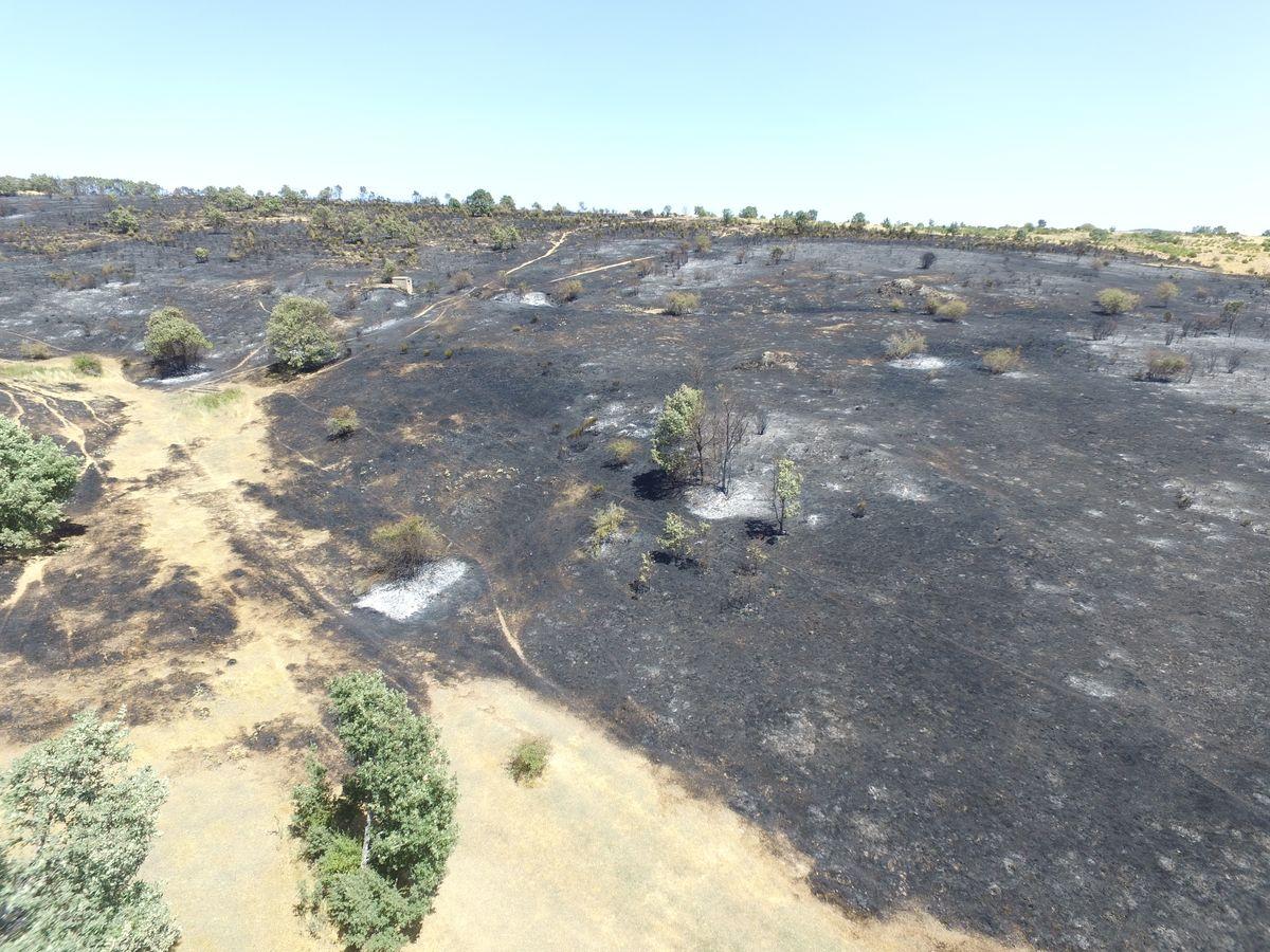 Vestigios tras el incendio