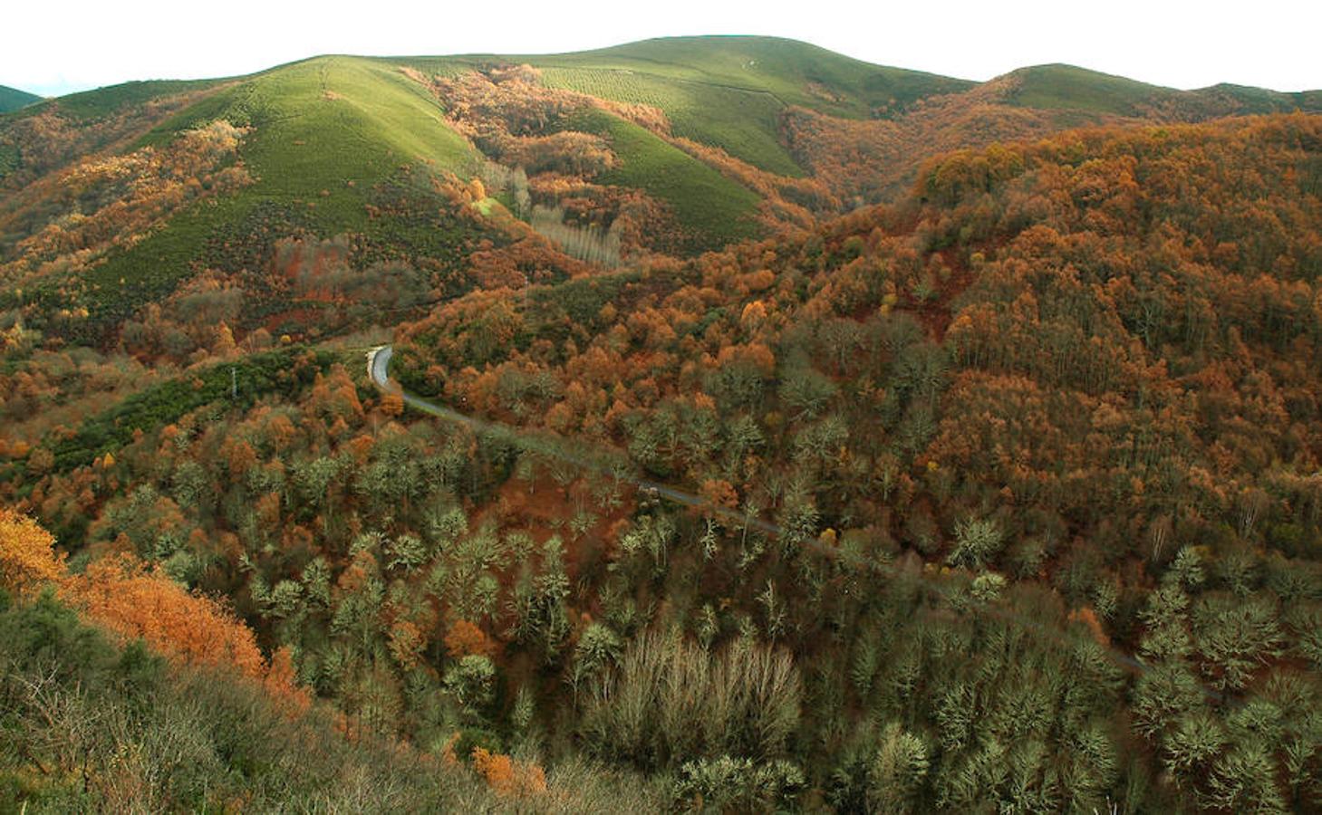 10 años de Reserva de la Biosfera de los Ancares