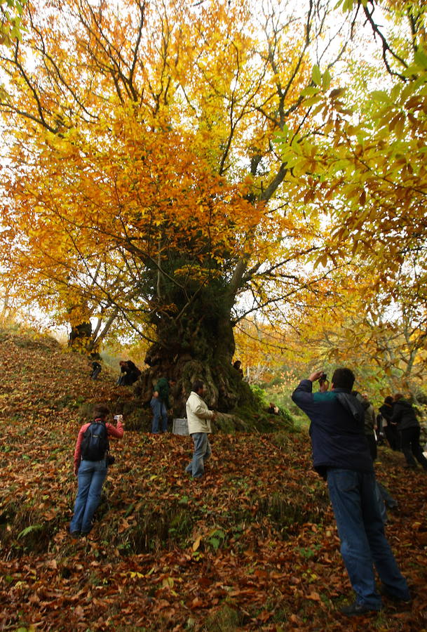 10 años de Reserva de la Biosfera de los Ancares