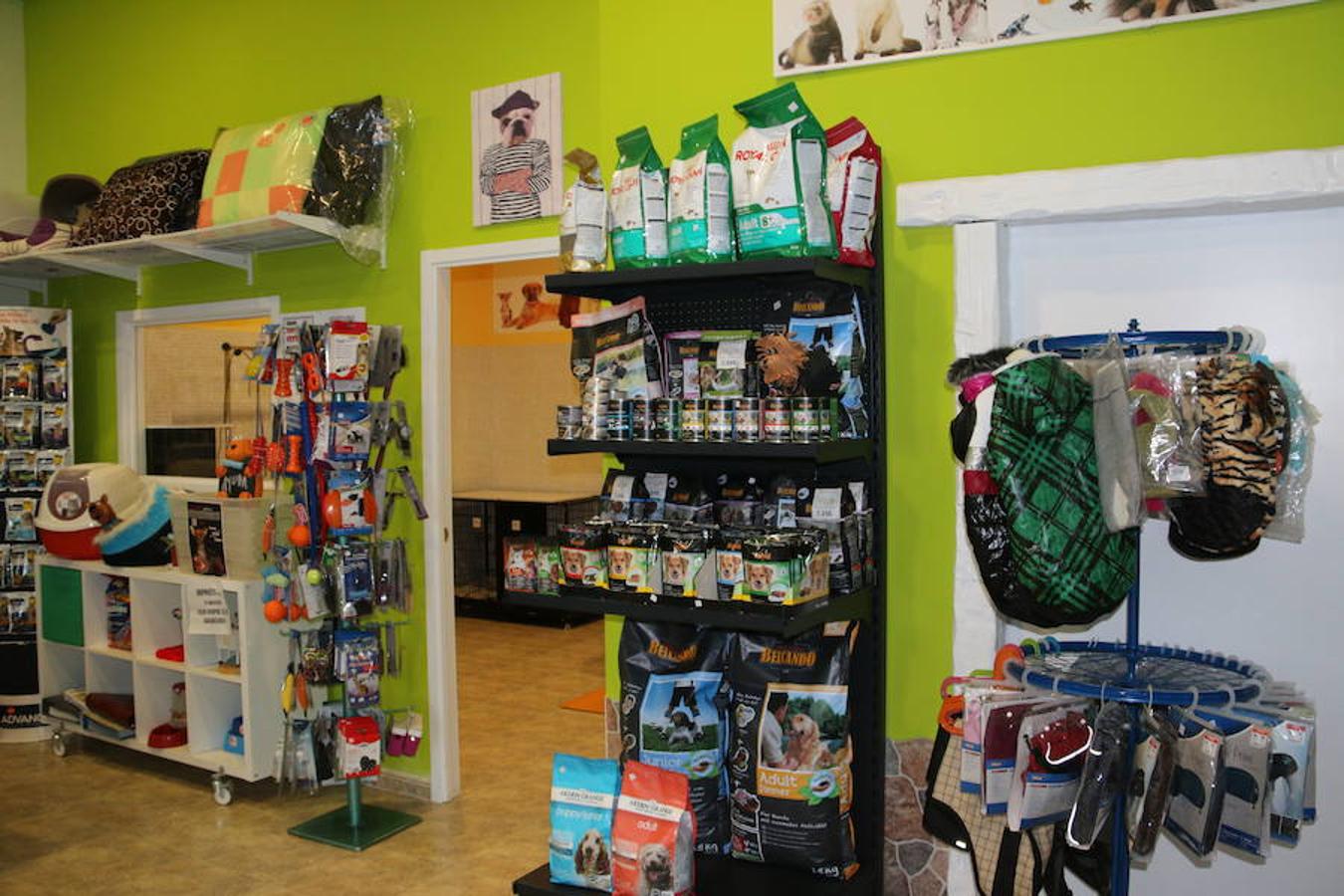 Presumidogs, el cuidado más coqueto