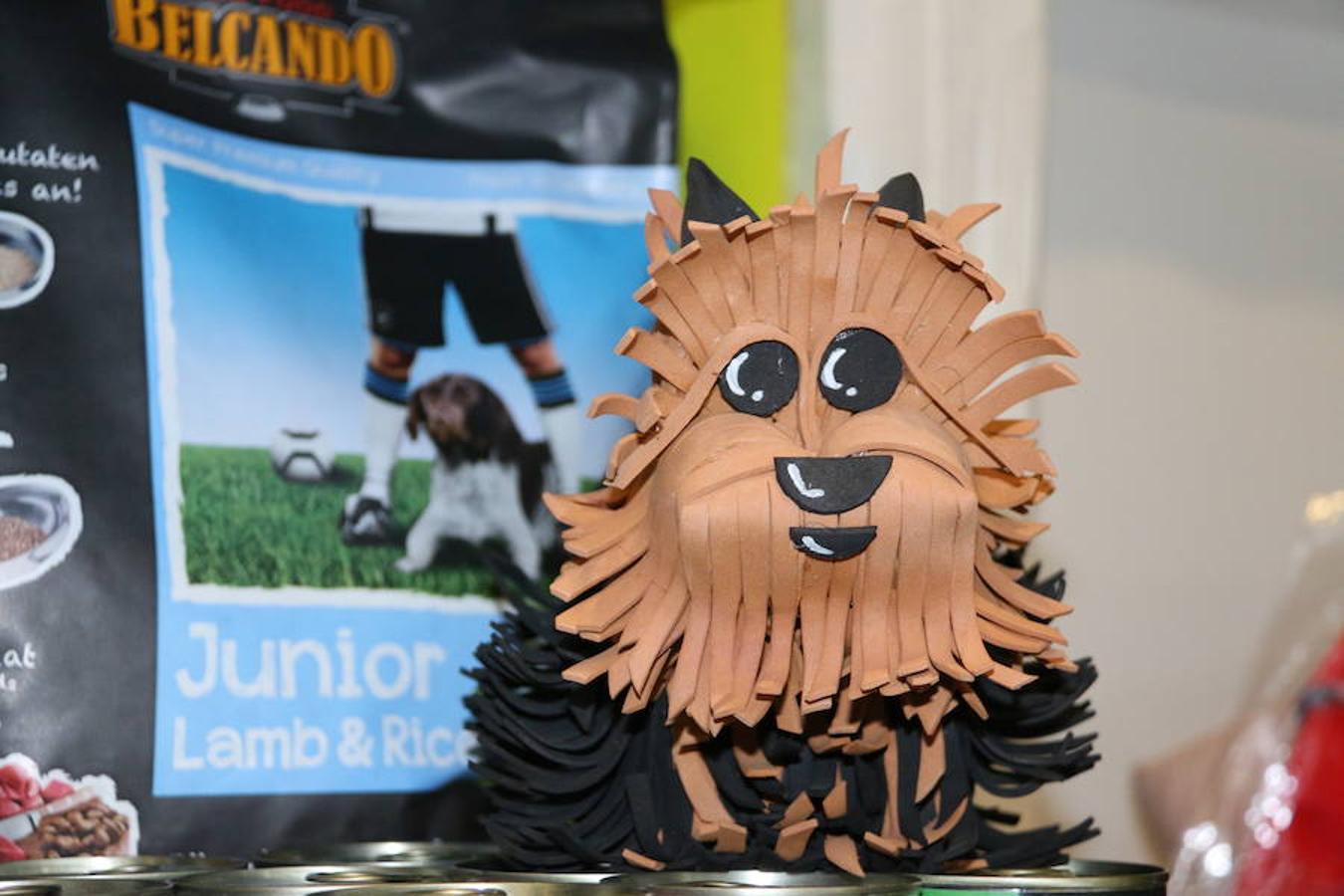 Presumidogs, el cuidado más coqueto