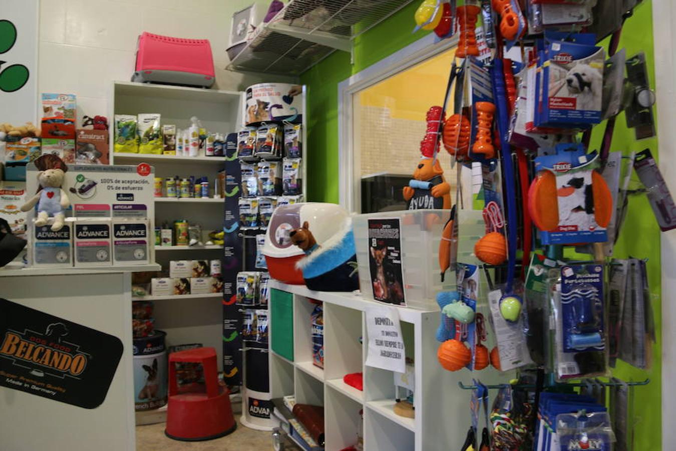 Presumidogs, el cuidado más coqueto