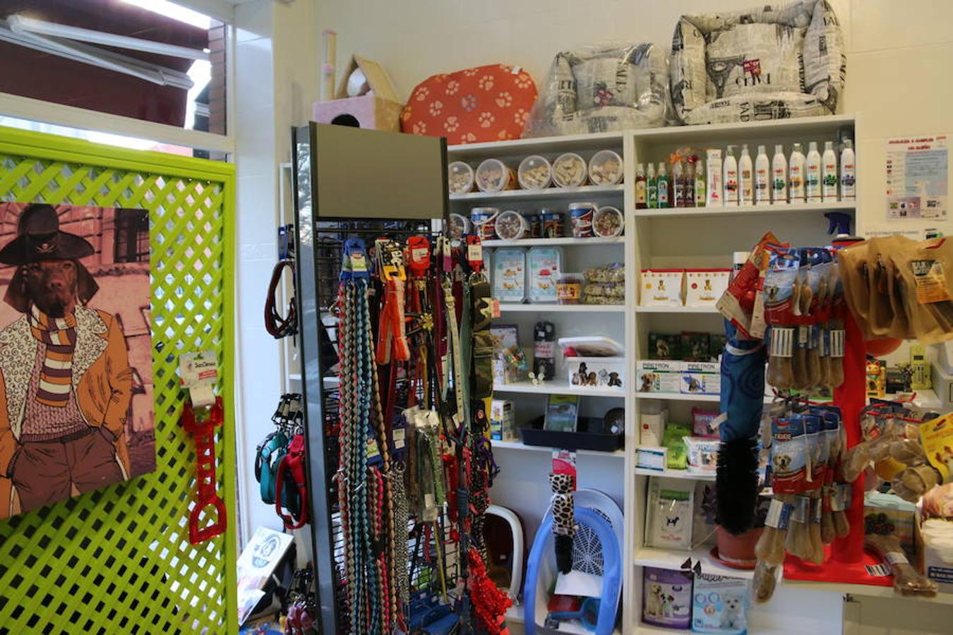 Presumidogs, el cuidado más coqueto