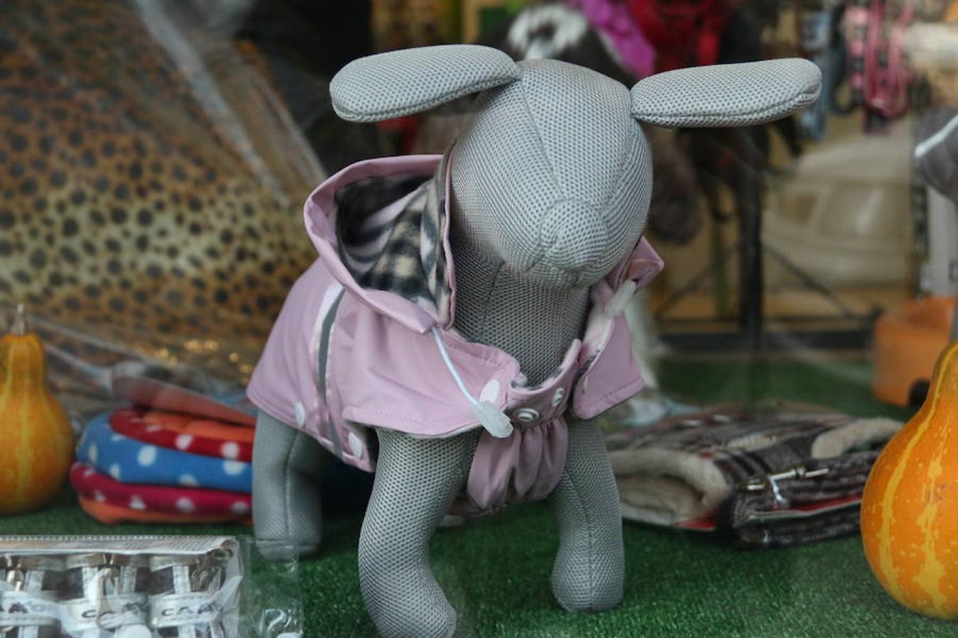 Presumidogs, el cuidado más coqueto