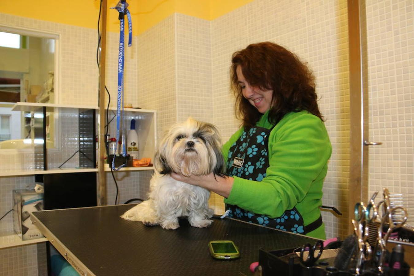 Presumidogs, el cuidado más coqueto