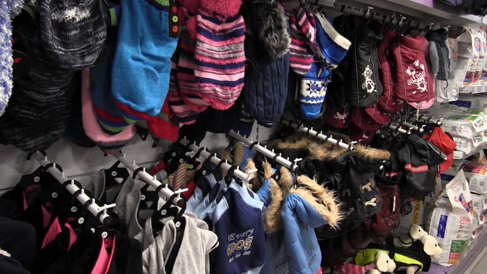 Todo para las mascotas