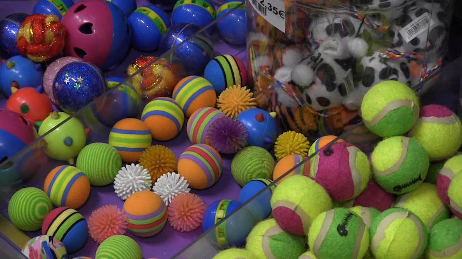 Todo para las mascotas