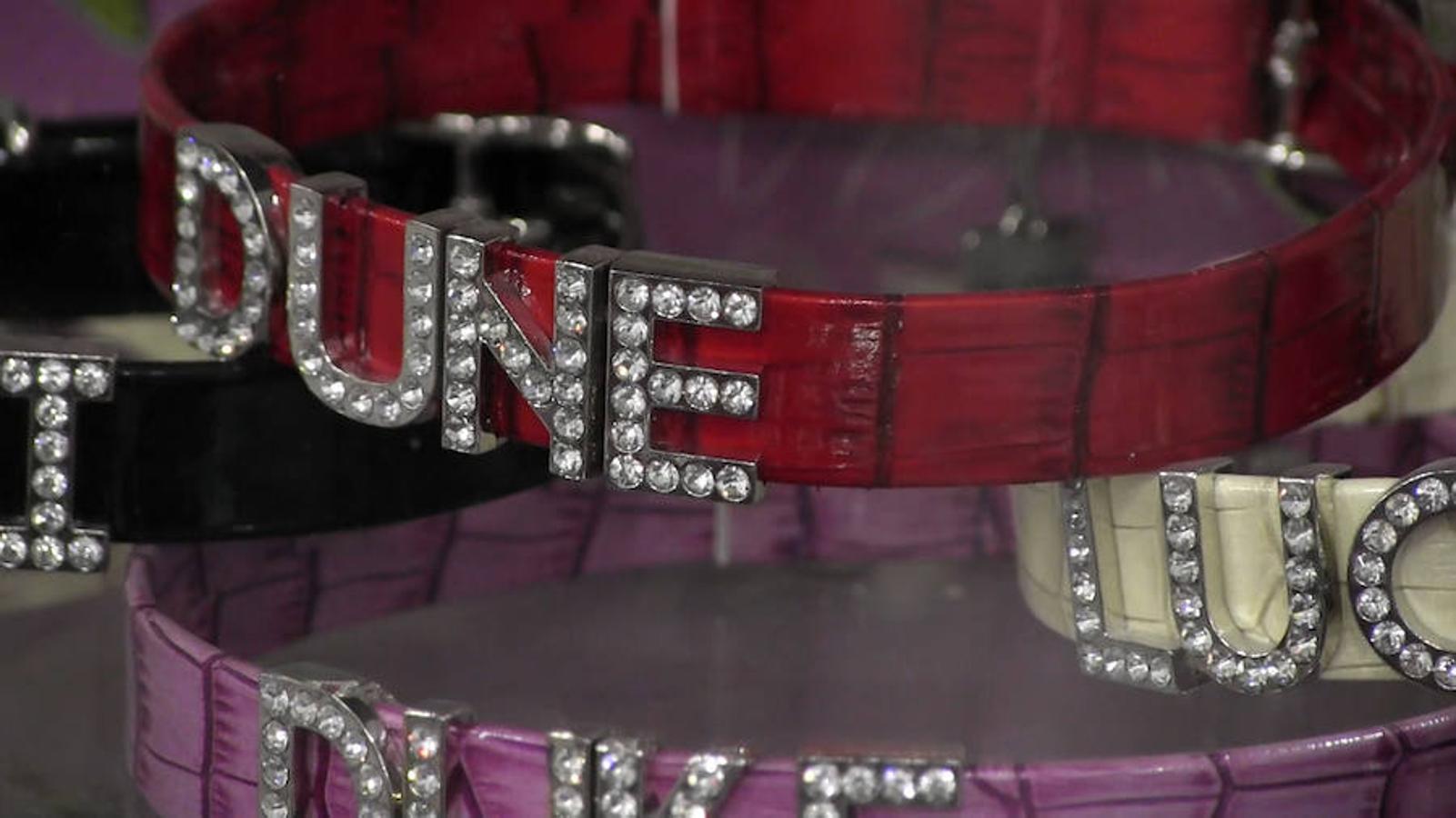 Todo para las mascotas