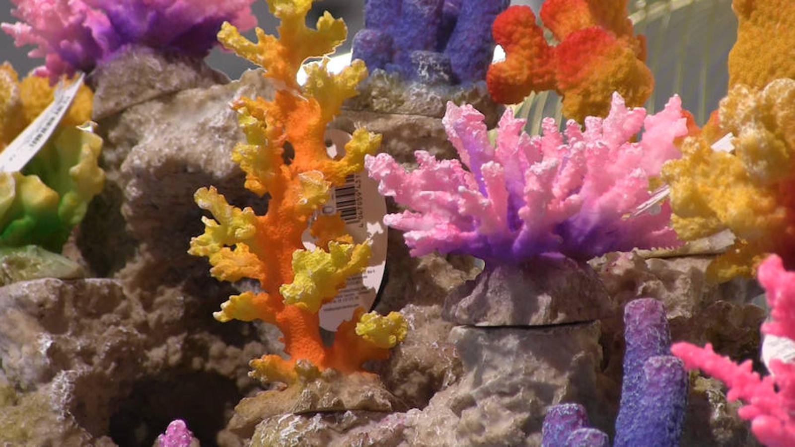 Todo para las mascotas