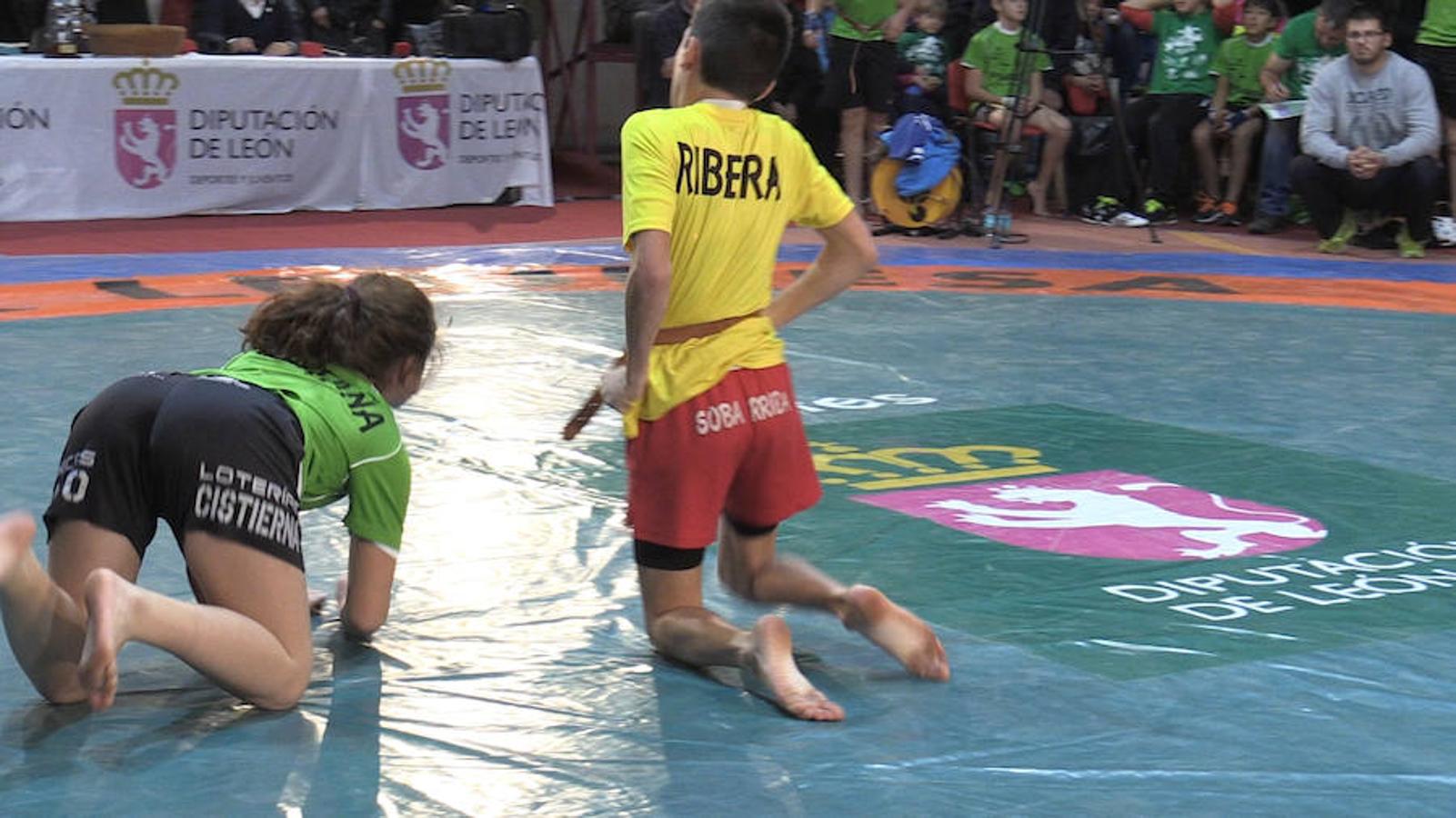 León dividida por la luchar