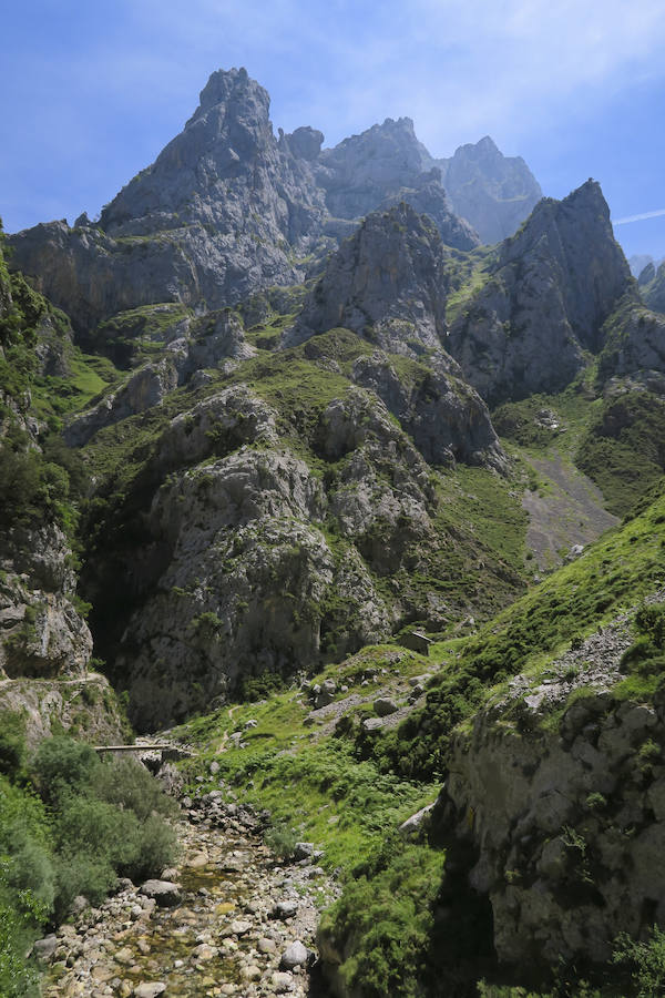 Picos (increíbles) de Europa
